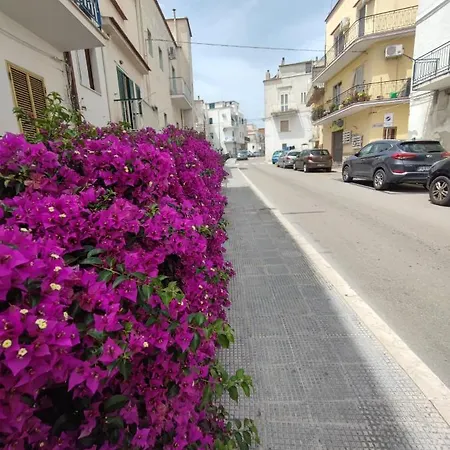 Apulian Dream Peschici