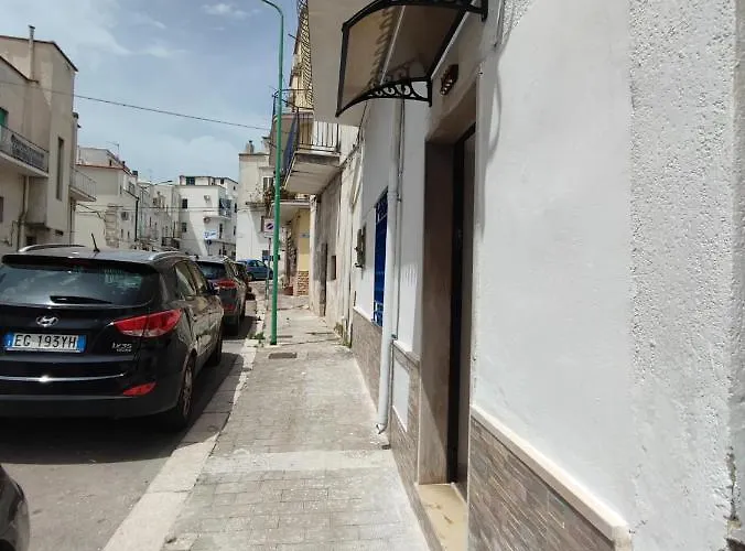 Apulian Dream * 페스키치